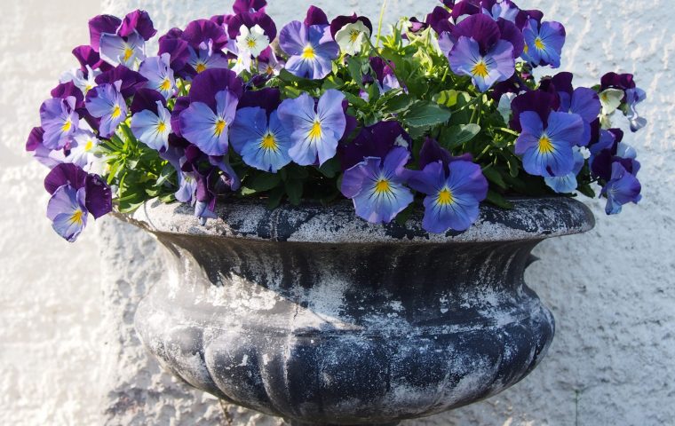 Ruukki Kukkii LA 23.5.